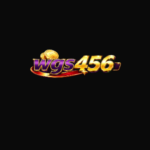 wgs456 game